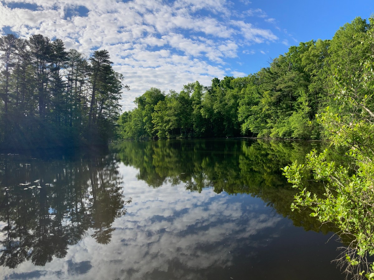 Considering Sue Holloway