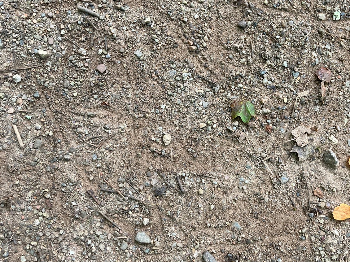 The Least I Could&nbsp;Do