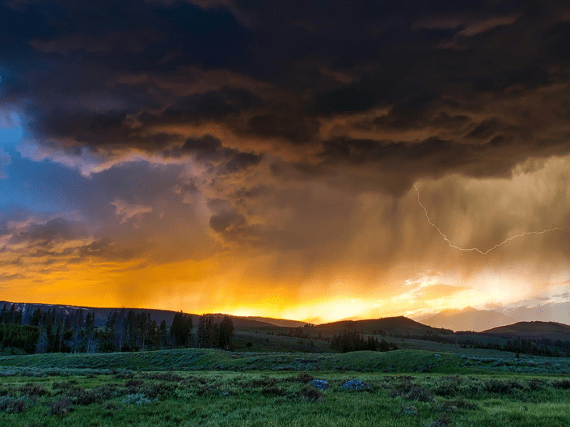 Dream, Driving, Rain&nbsp;#05-081725