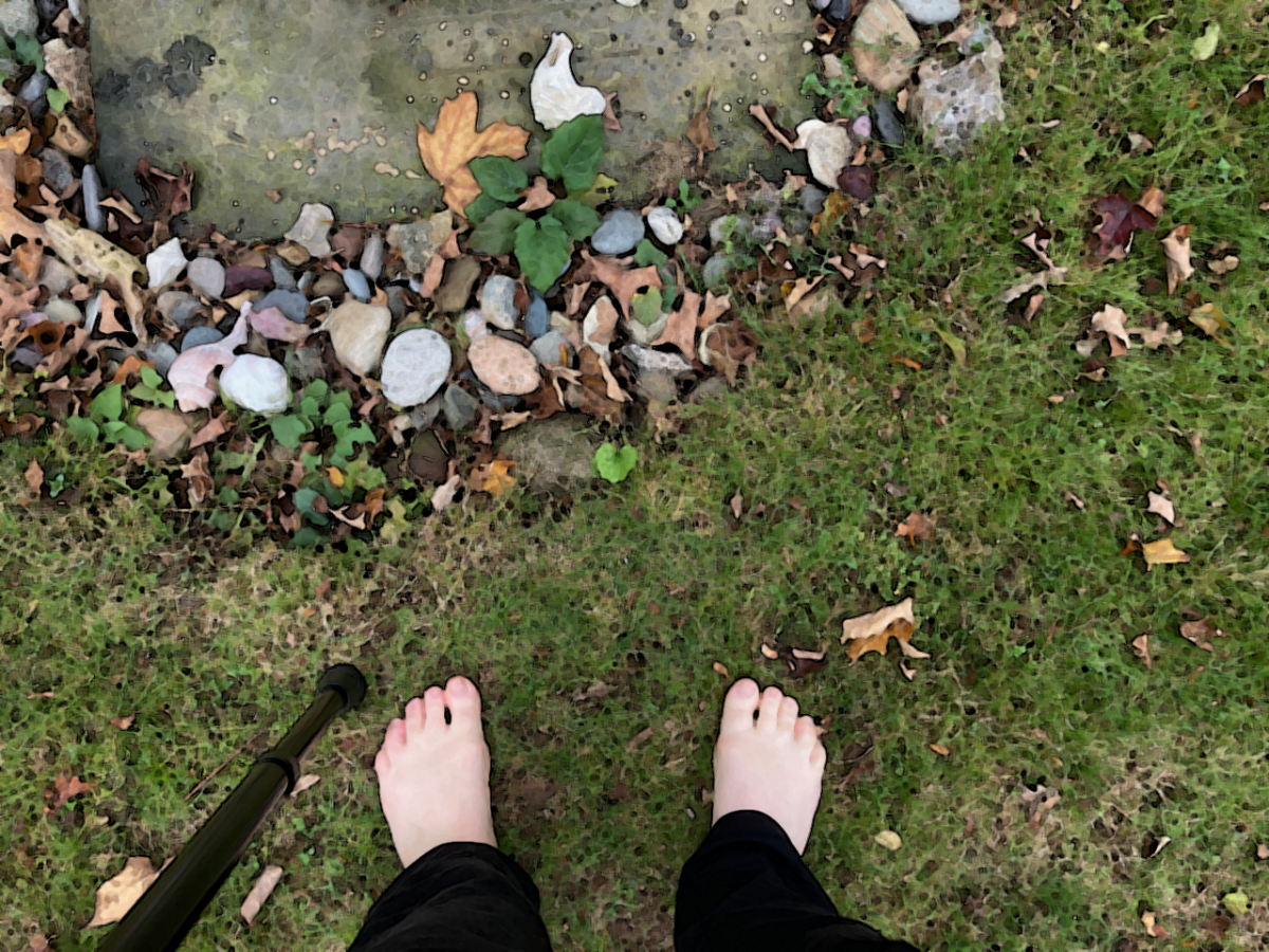 Fall Afternoon in the Yard with a New&nbsp;Knee