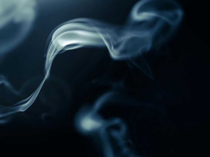 The Evolution of&nbsp;Vice