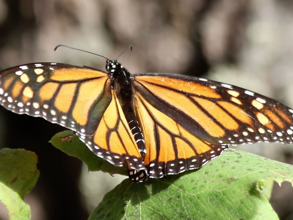 Random Acts of Writing Turns&nbsp;16