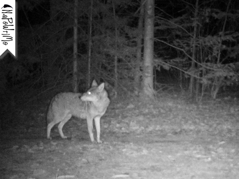 2 – To Get to the Other&nbsp;Side