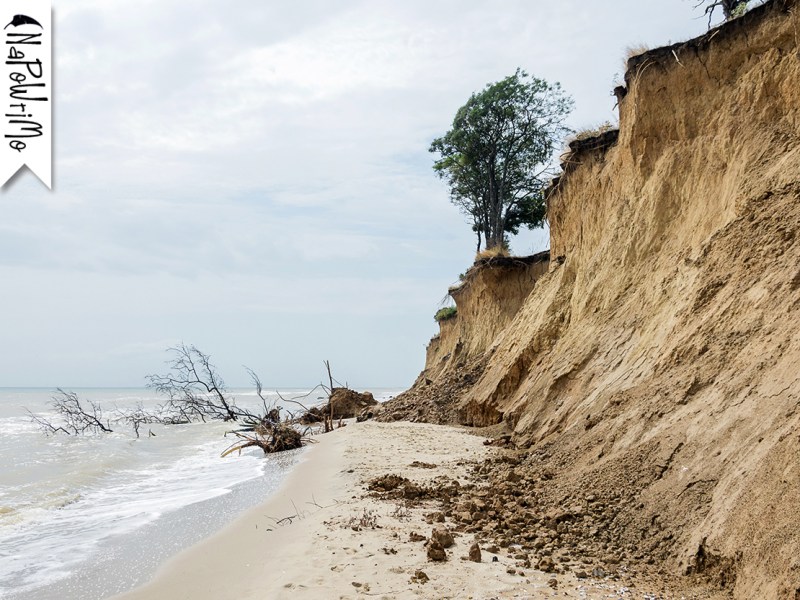 1 – Can I sail through the changin’ ocean&nbsp;tides?