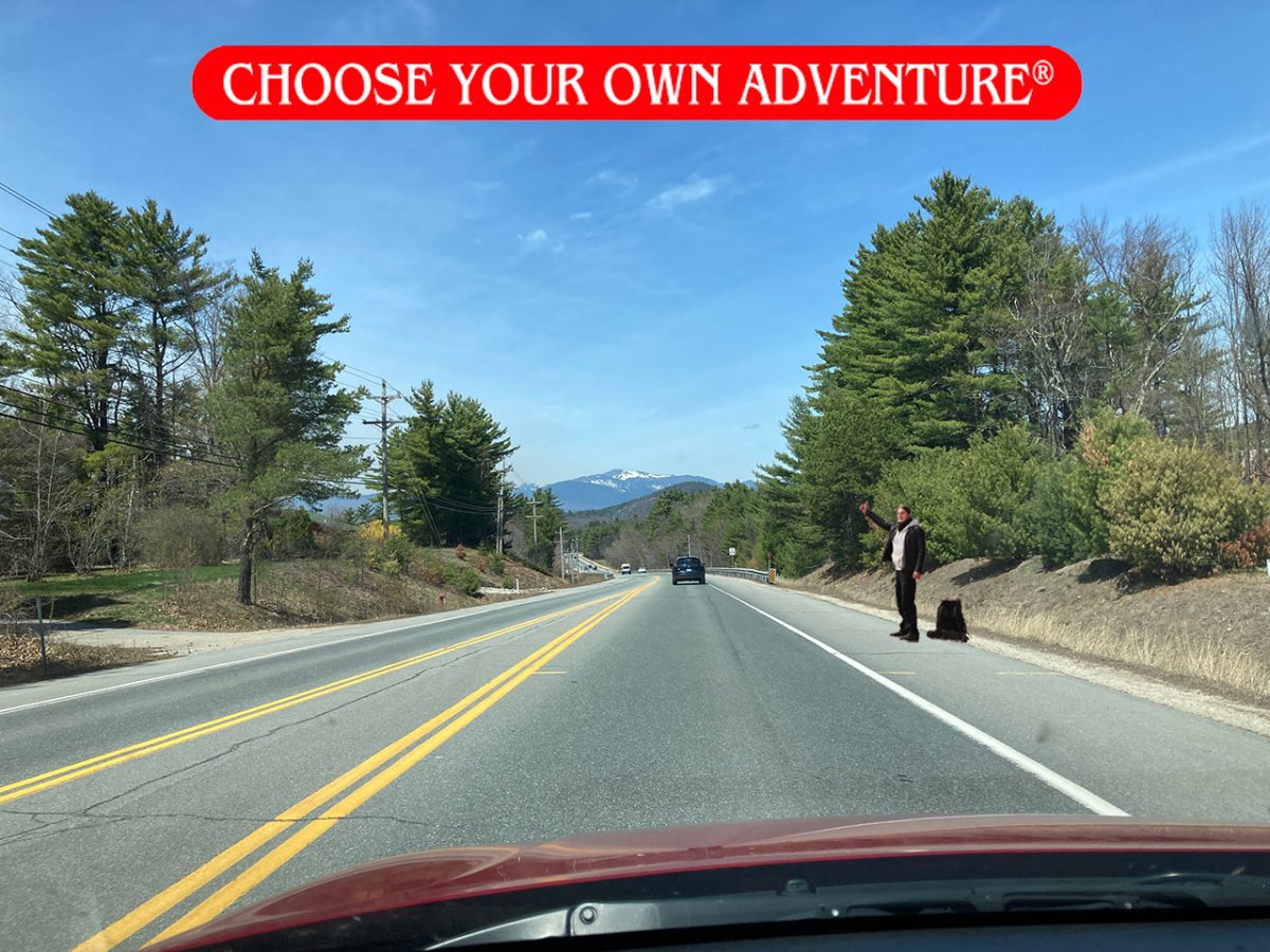 If you decide…